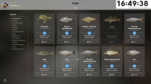 Как фармить НОВИЧКУ 10 - 25 уровня... ● Русская Рыбалка 4 | РР4