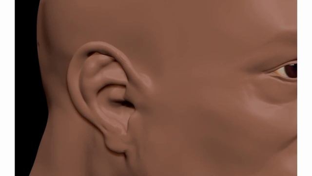 Rhino Rider * Zbrush & Keyshot * speedsculpt timelapse and turntable смотреть онлайн