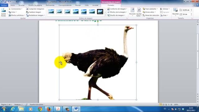 Word 2010 Como insertar imágenes PNG en смотреть онлайн