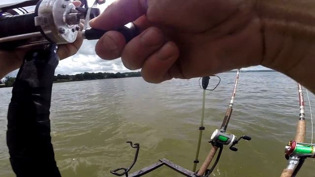 Potomac Trip - Finding Summer Blues