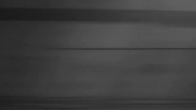 03 Biophonic_LICA 4_Роман Добромиль_Зоя Андрианова_Если смотреть онлайн