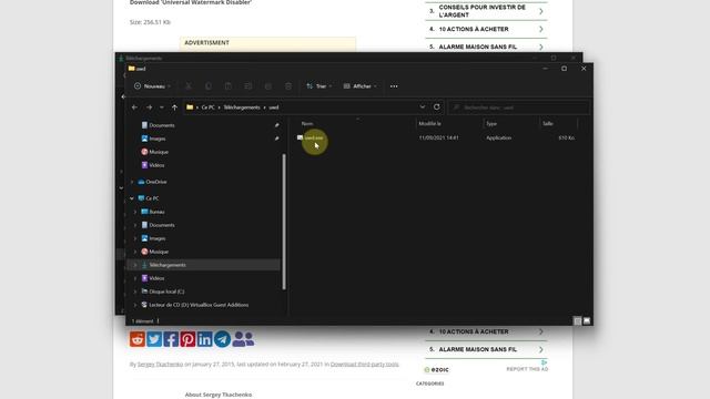 Universal Watermark Disabler