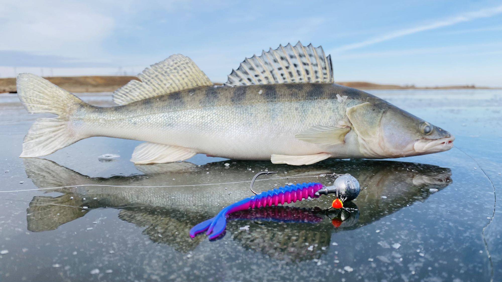 ТОП приманка на СУДАКА со льда Зимняя рыбалка в Астрахани река Енотаевка смотреть онлайн