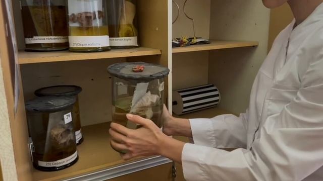 32 Колл. раб. Дудко Соболева Мед колледж смотреть онлайн