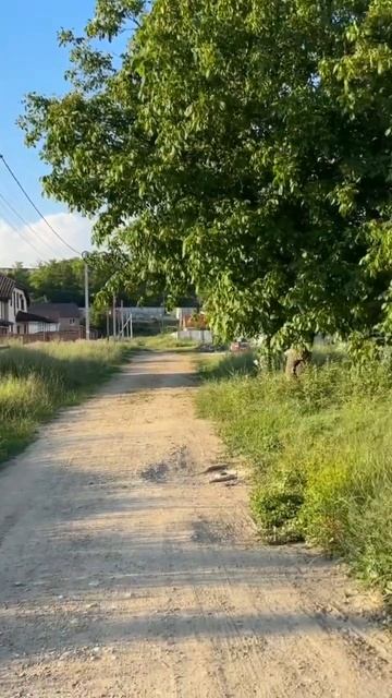 Продажа участка Пионерское смотреть онлайн