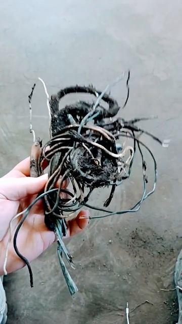 #медь #вторсырье #алюминий #хобби #поискметалла #цветнойметалл #металокоп #латунь #медяха #поискмеди смотреть онлайн