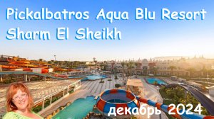 Обзор отеля Pickalbatros Aqua Blue