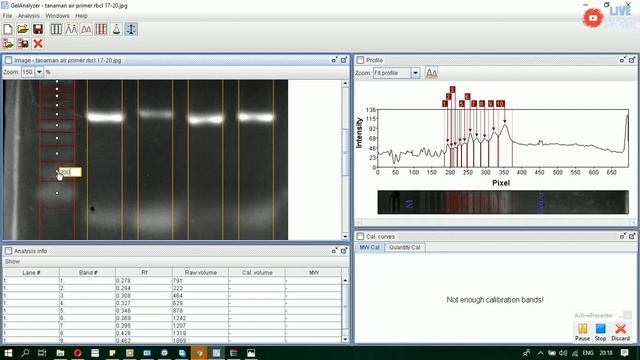 How to Use Gel Analyzer To Know Basepare ( Cara menggunakan Aplikasi Gel Analyzer) смотреть онлайн