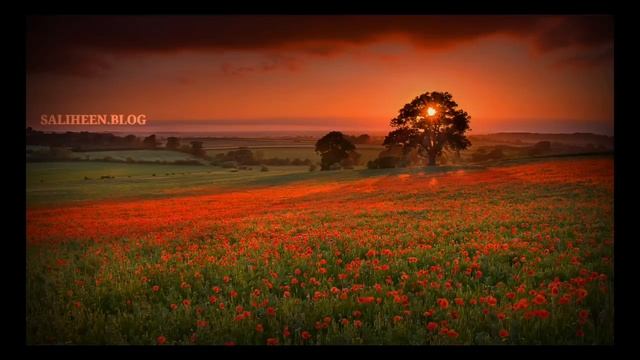 КОРАН ПЕРЕД СНОМ! ЛЕЧЕБНАЯ ДЛЯ ДУШИ. ИЗУМИТЕЛЬНОЕ ЧТЕНИЕ КНИГИ АЛЛАХА. смотреть онлайн