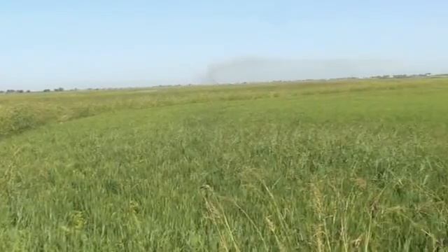 Protecting Migratory Waterbirds