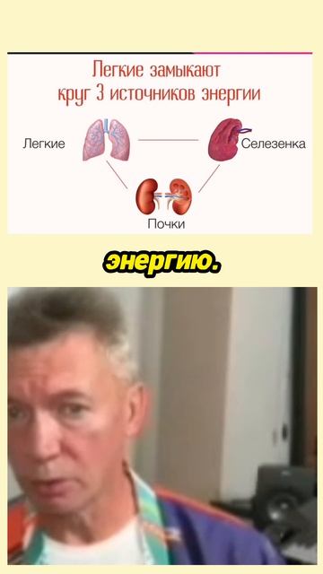 Почки хранители нашей энергии смотреть онлайн