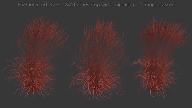Feather Reed Grass (medium) - wind animation preview - 3dsmax with GrowFX смотреть онлайн