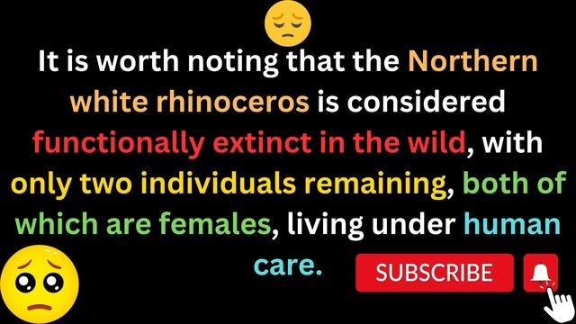 Top 9 endangered rhinoceros species 😱 смотреть онлайн