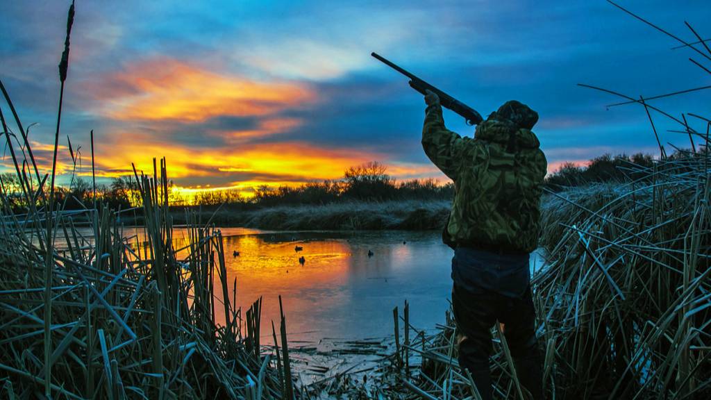 Сезон охоты на дикую утку 2010 Тольятти- Лопатино смотреть онлайн