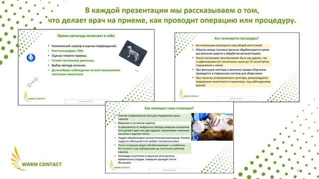 Презентация теоретического курса смотреть онлайн