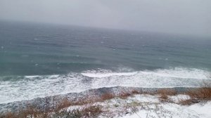 Природа море птички