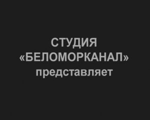 группа Беломор канал Не в деньгах счастье tfile.ru