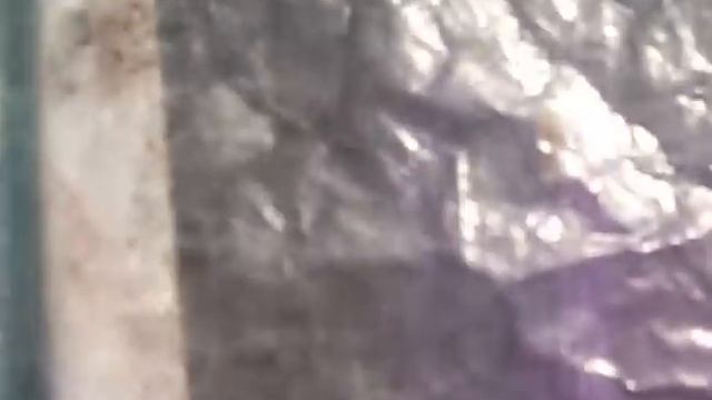 Зимовка пчел. смотреть онлайн