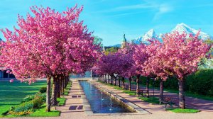 🌷 ОЧЕНЬ НЕЖНАЯ МУЗЫКА ДЛЯ ДУШИ И ПОДАВЛЕНИЯ СТРЕССА 🎵  УСПОКАИВАЮЩАЯ РЕЛАКС МУЗЫКА ДЛЯ СНА