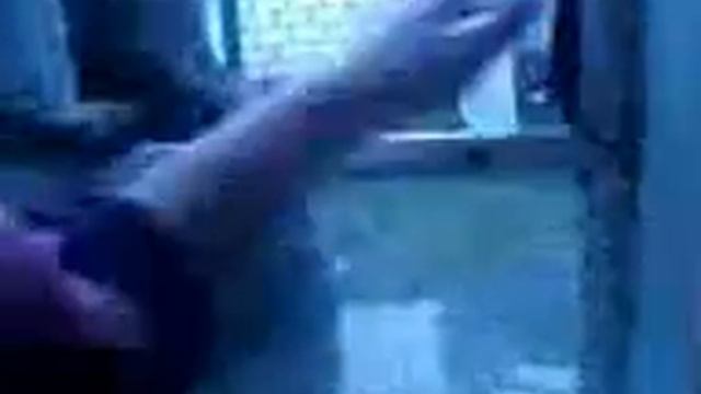 кот сам открывает форточку.mp4 смотреть онлайн