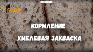 Кормление (ведение) закваски "Хмелевая. ВЕЧНАЯ" от PolyFood