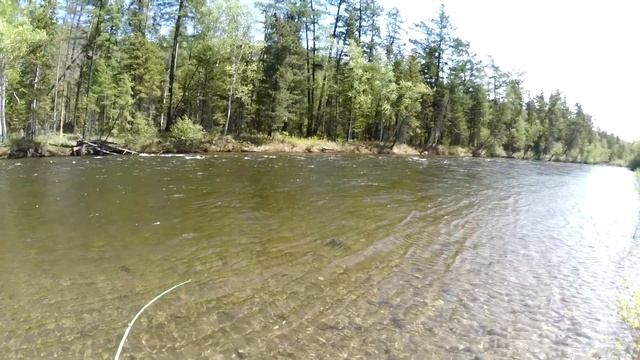 В поисках хариуса 2. Часть 15.  Продолжаем облавливать яму.