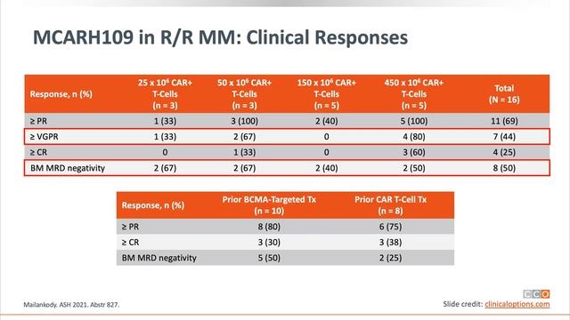 A 2023 Update on CAR-T Therapy in Myeloma with Dr. Craig Hofmeister смотреть онлайн