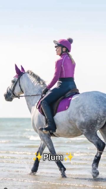 What you fav 🌟Lemieux Color 🌟 says about you #lemieux #pony смотреть онлайн