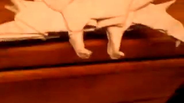 Origami tuojiangosaurio y triceratops demo смотреть онлайн