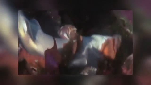 10 Шокирующих Битв Животных Снятых На Камеру смотреть онлайн