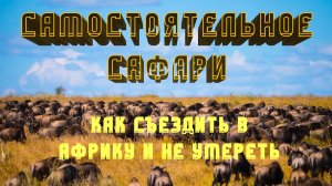 САМОСТОЯТЕЛЬНОЕ САФАРИ ПО ТАНЗАНИИ - инструкция по выживанию!