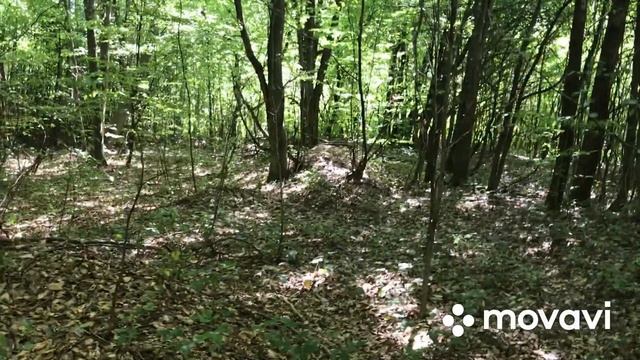 На маршруте . смотреть онлайн