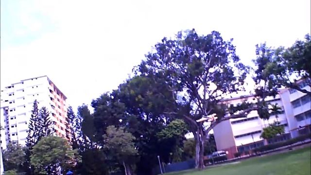 Twisted Hobbys Crack Yak 32 Inch Learn 3D смотреть онлайн