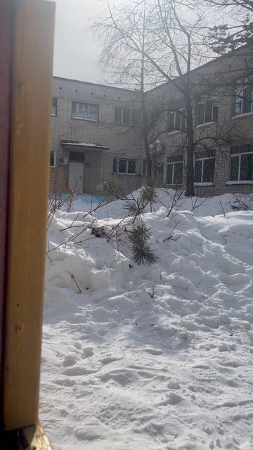 Володя на площадке детского сада смотреть онлайн