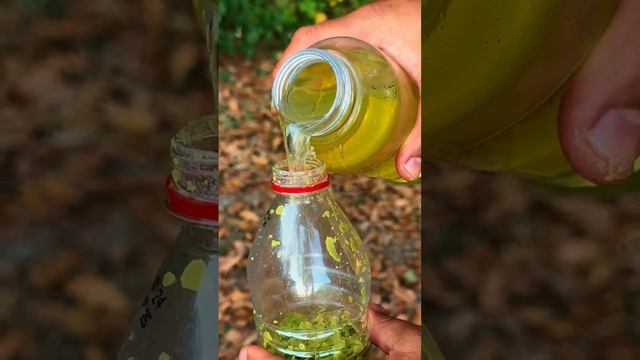 Лучшие навыки выживания в лесу смотреть онлайн