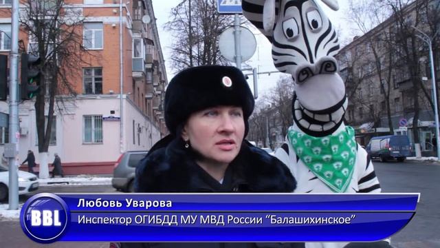 Зебра смотреть онлайн