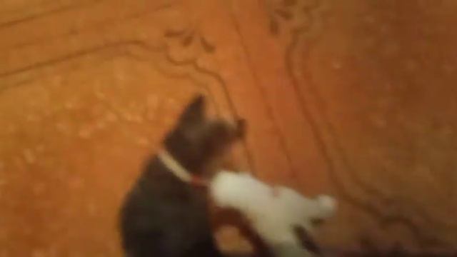 шляйх клип: Нас не догонят смотреть онлайн