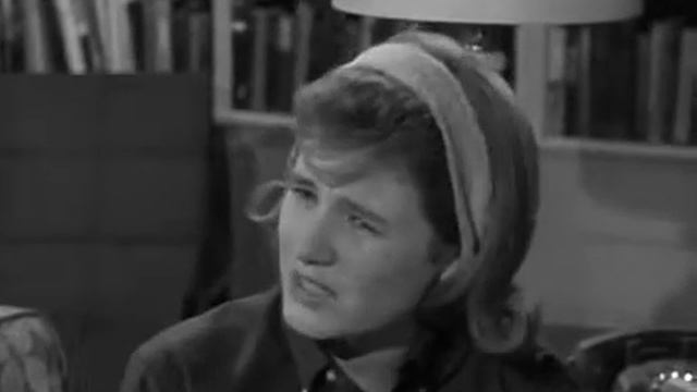 The Patty Duke Show S1E29 The Friendship Bit смотреть онлайн
