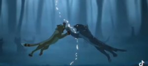 Коты воители/подборка из тик тока