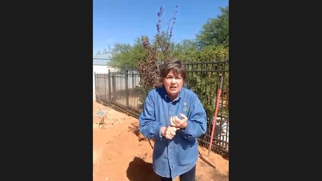 Garden & Country Extension: How to Plant a Tree Webinar смотреть онлайн
