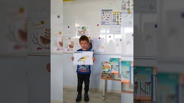 Перелётные птицы