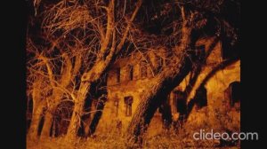 Архиерейский квартал и оскверненное Архиерейское кладбище