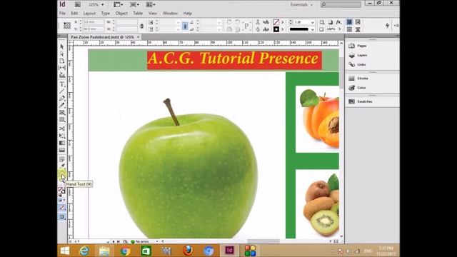 Zoom Tool - Pan Tool & PasteBoard Area - In Adobe InDesign CS6 - By Amol Gulekar | in Hindi смотреть онлайн