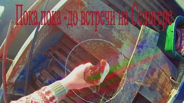 Троллинг на Селигере ,открытие сезона-щука сьела воблер 20 см