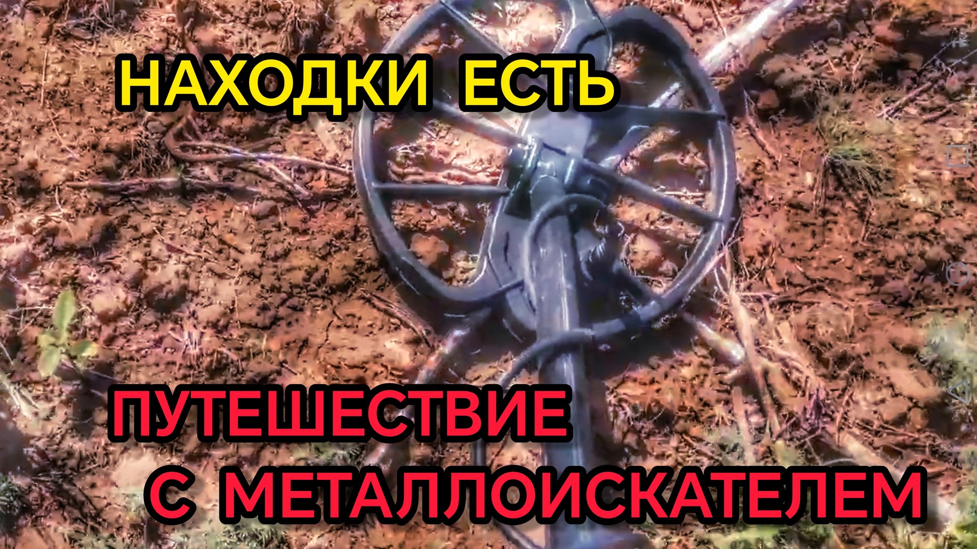 Коп монет. Поиск с металлоискателем. Нокта симплекс.