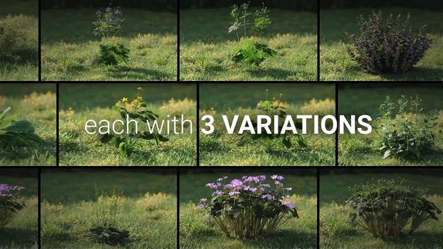 Small Plants Vol.1 | High Quality Assets for 3ds Max смотреть онлайн