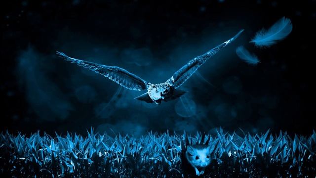Creature of the Everglades | Cryptids #1 смотреть онлайн