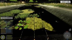 Если попал на ШТРАФНОЙ ПРУД... ● Русская Рыбалка 4 | РР4