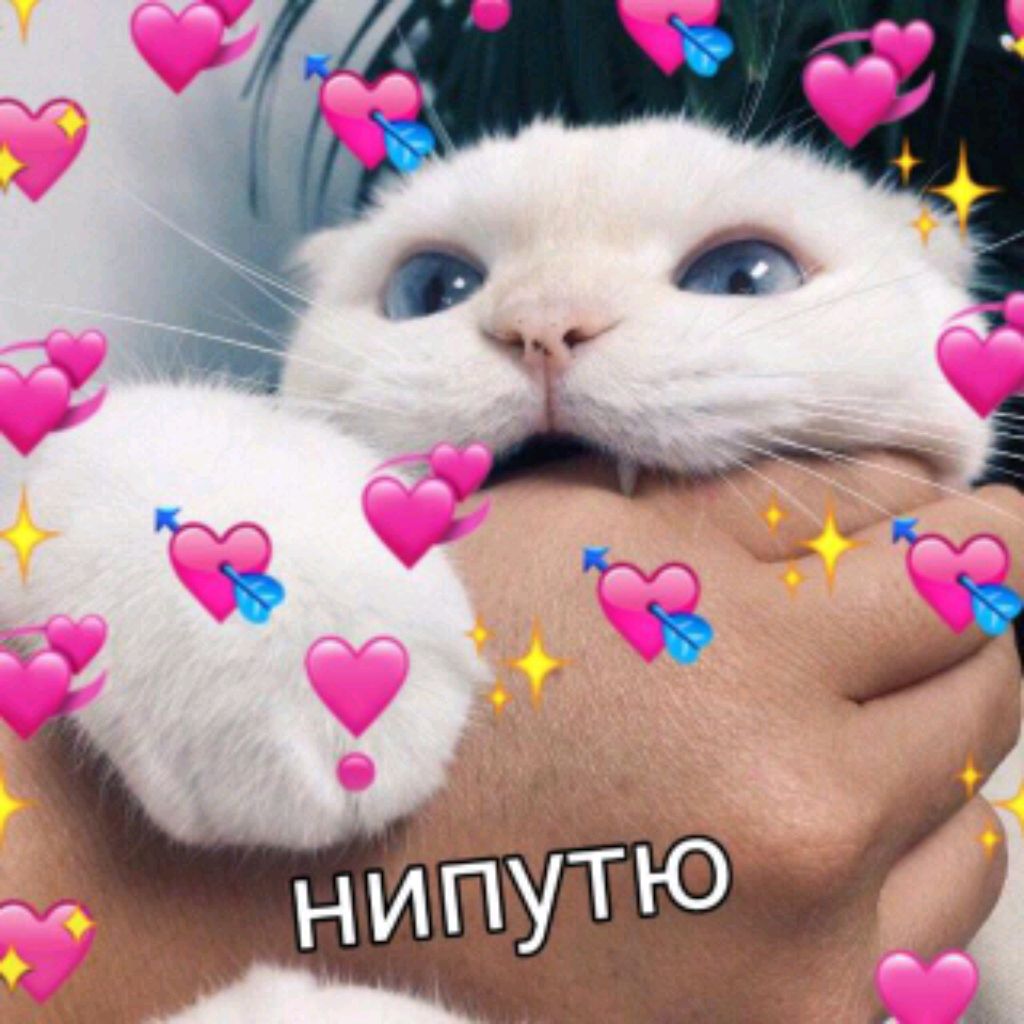 хр писать смотреть онлайн