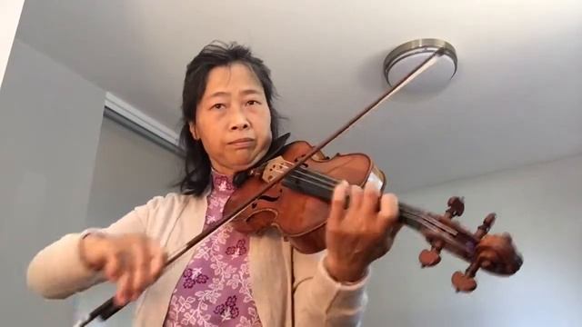 Viotti concerto 23 cadenza by Dulof--A practice guide смотреть онлайн